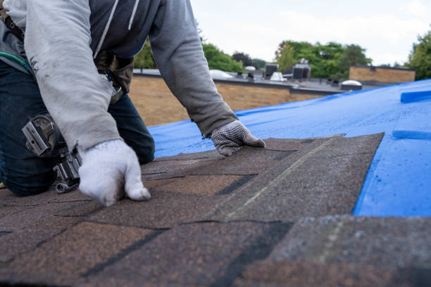 Best Storm Damage Roof Repair  in Shiremanstown, PA
